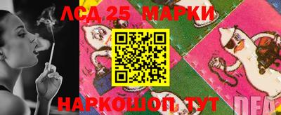 гидропоника Владивосток