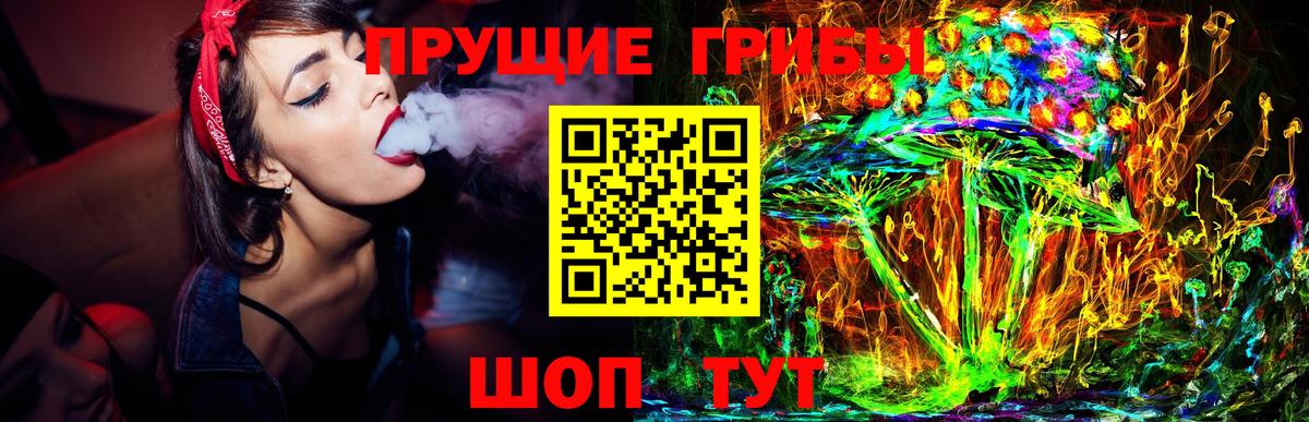 Псилоцибиновые грибы Cubensis  наркота  Альметьевск  Вход с VPN 