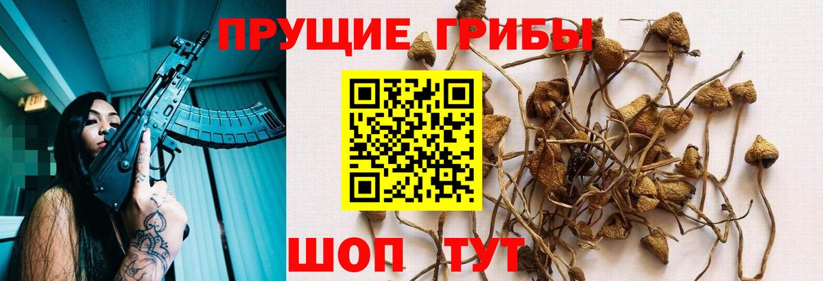 Псилоцибиновые грибы мухоморы Альметьевск